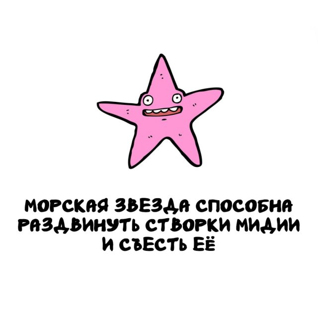 Интересные факты на все случаи жизни