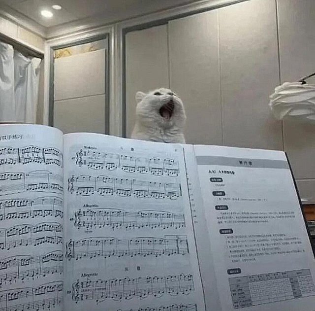 Мемы для тех, кто любит музыку