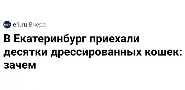 Смешные мемы - 01.08.2025