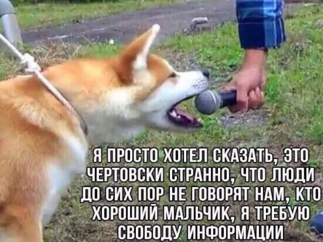Смешные мемы - 01.08.2025