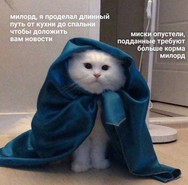 Смешные мемы - 01.08.2025