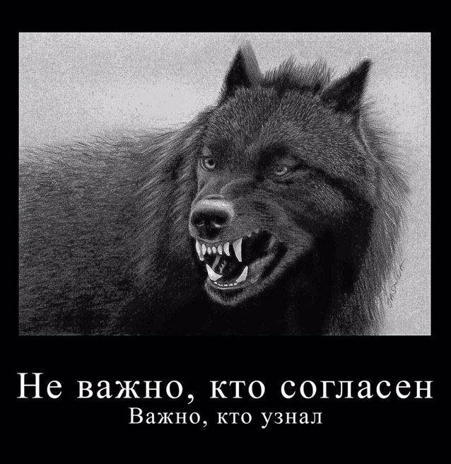 Демотиваторы - 01.08.2025