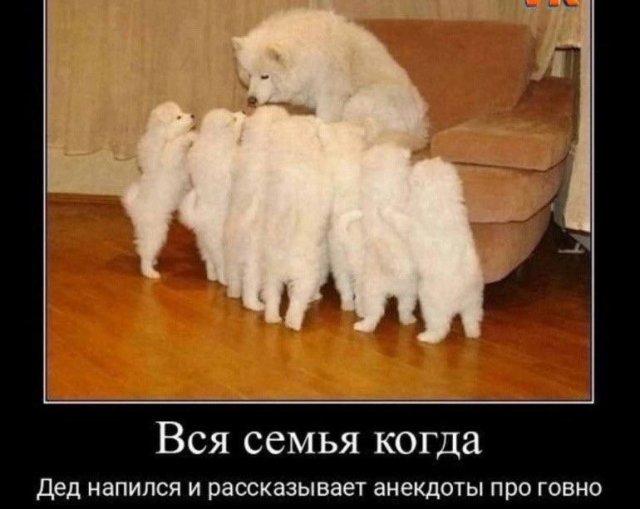 Демотиваторы - 01.08.2025