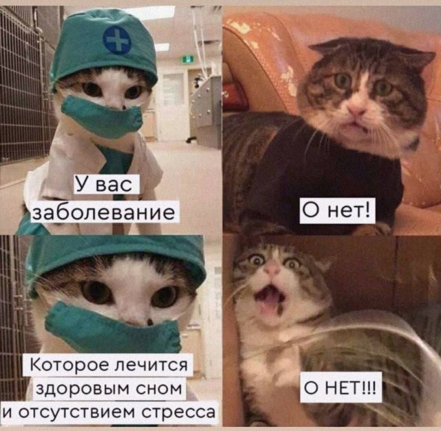 Смешные картинки - 01.08.2025