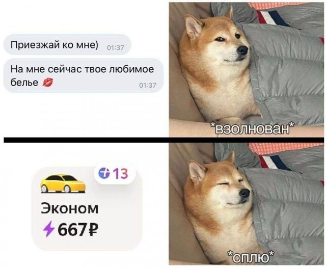 Лучшие шутки и мемы из Сети - 01.08.2025