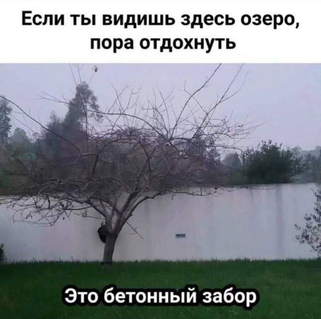Смешные мемы - 04.08.2025