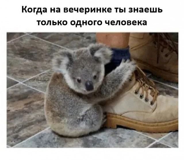 Смешные мемы - 04.08.2025