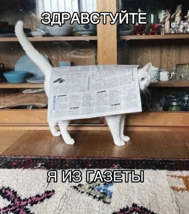Лучшие шутки и мемы из Сети - 06.08.2025