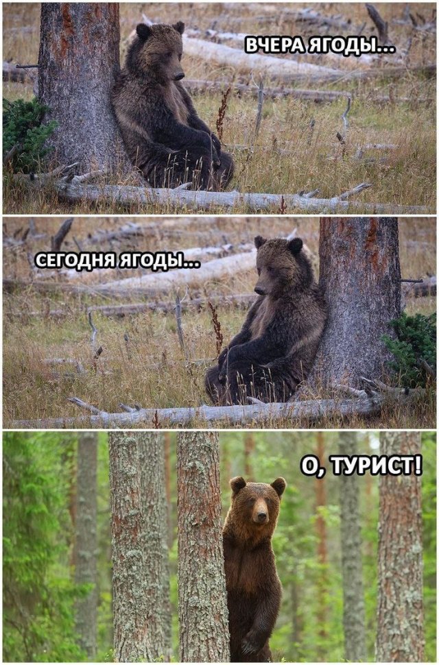 Смешные мемы - 06.08.2025