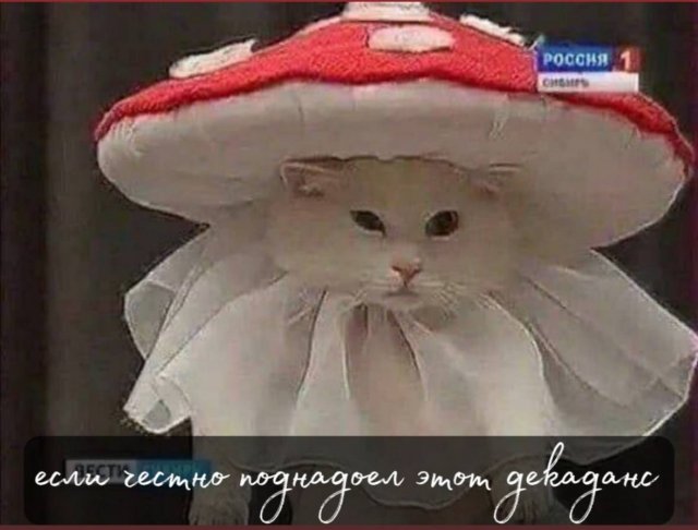 Смешные мемы - 06.08.2025