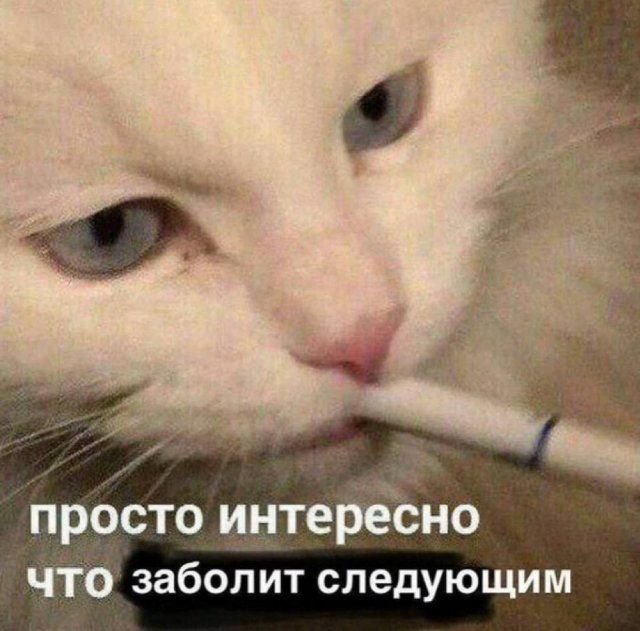 Смешные мемы - 06.08.2025