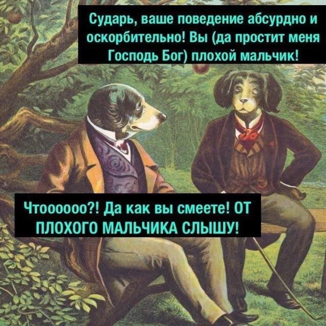 Смешные мемы - 06.08.2025