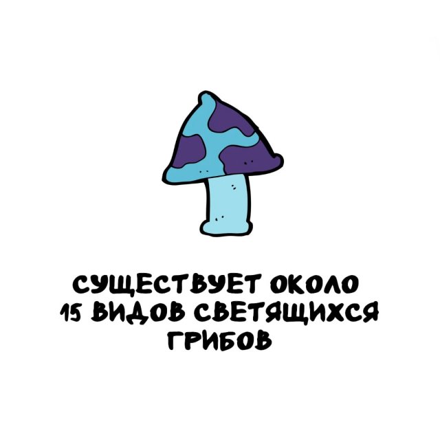 Интересные факты на все случаи жизни