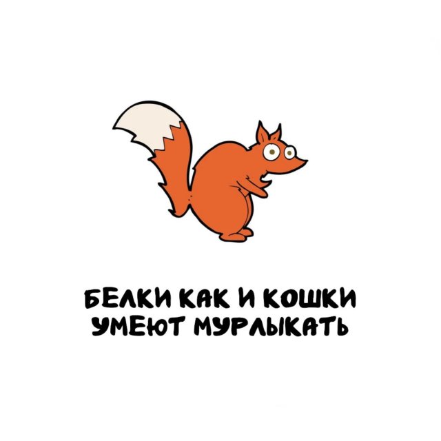 Интересные факты на все случаи жизни