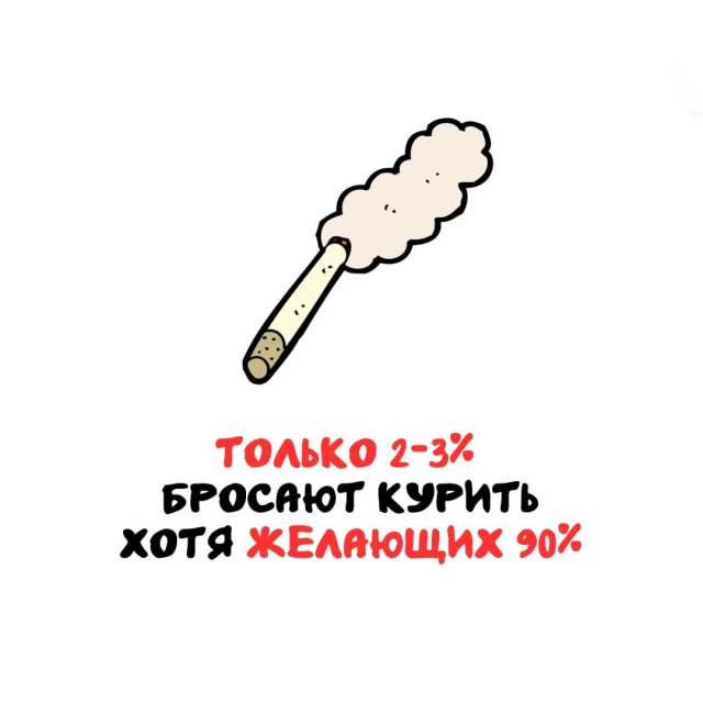 Интересные факты на все случаи жизни