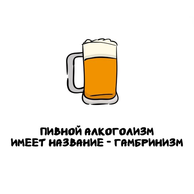 Интересные факты на все случаи жизни