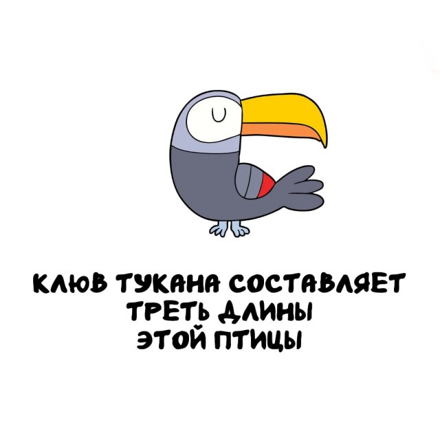 Интересные факты на все случаи жизни
