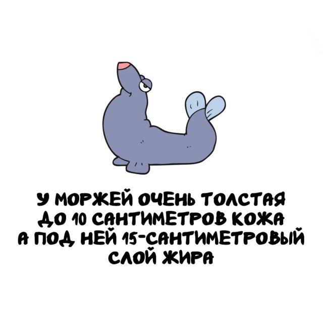 Интересные факты на все случаи жизни