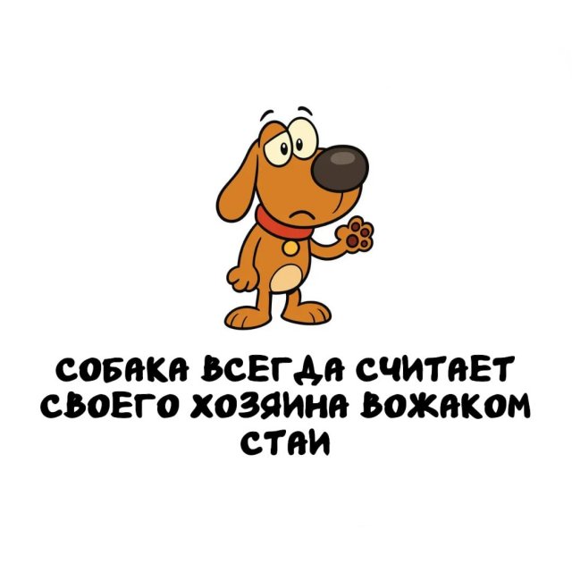 Интересные факты на все случаи жизни