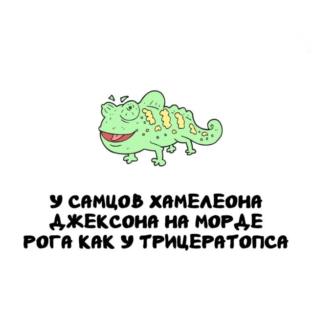Интересные факты на все случаи жизни