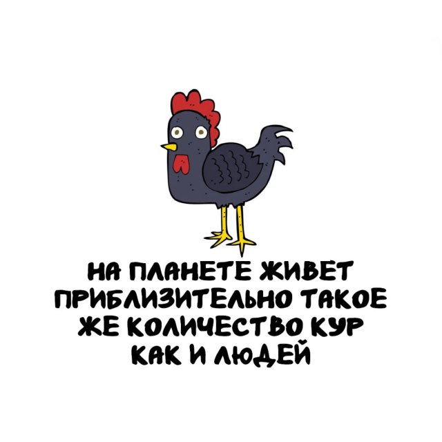 Интересные факты на все случаи жизни