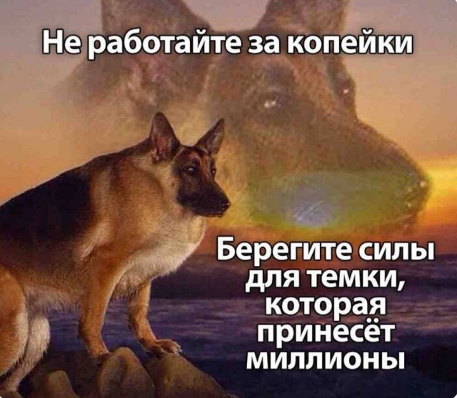 Лучшие шутки и мемы из Сети - 07.08.2025