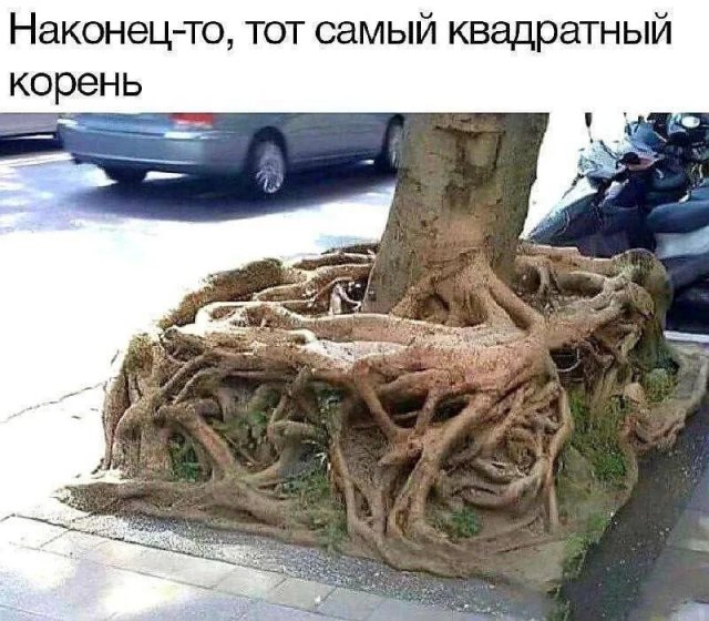 Лучшие шутки и мемы из Сети - 07.08.2025