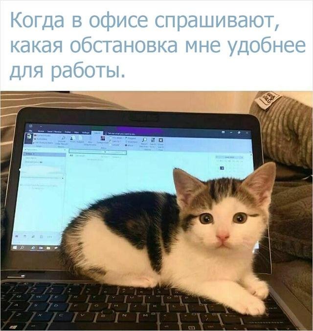 Смешные мемы про работу на удаленке и в офисе