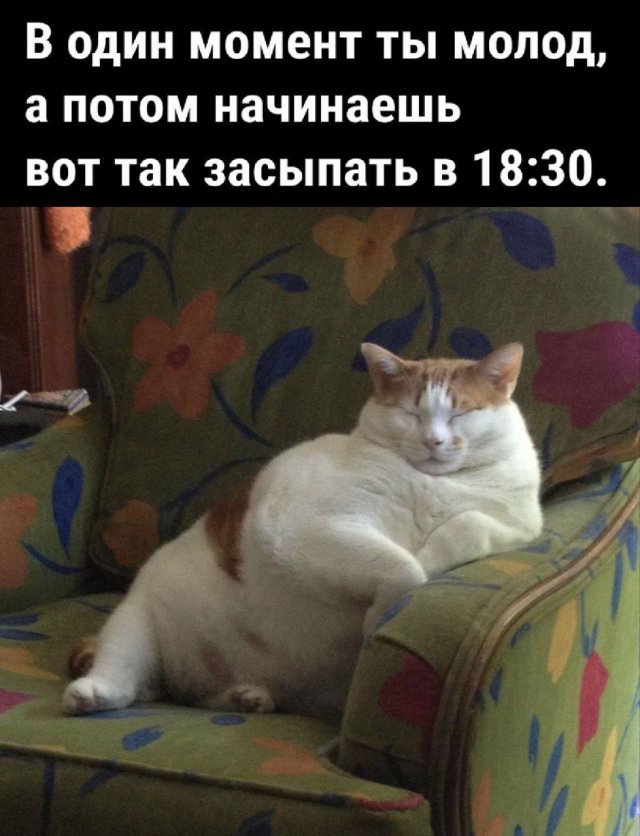 Мемы из 2000-2010-х
