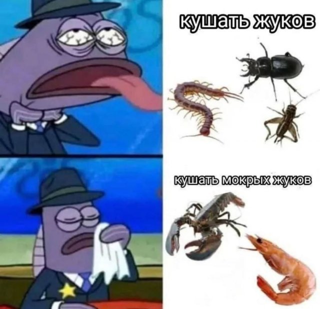 Лучшие шутки и мемы из Сети - 08.08.2025