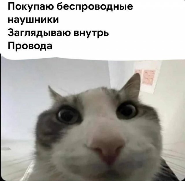 Лучшие шутки и мемы из Сети - 08.08.2025