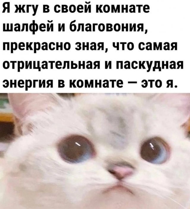 Лучшие шутки и мемы из Сети - 08.08.2025