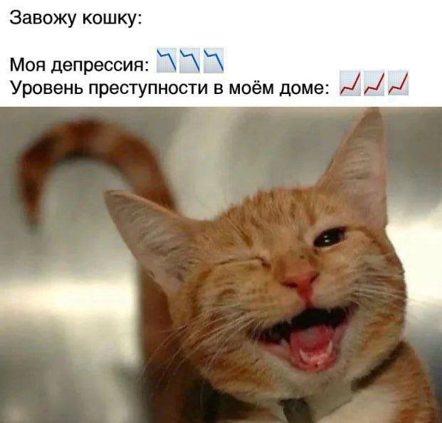 Лучшие шутки и мемы из Сети - 08.08.2025