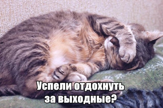 Трынделка - 11.08.2025