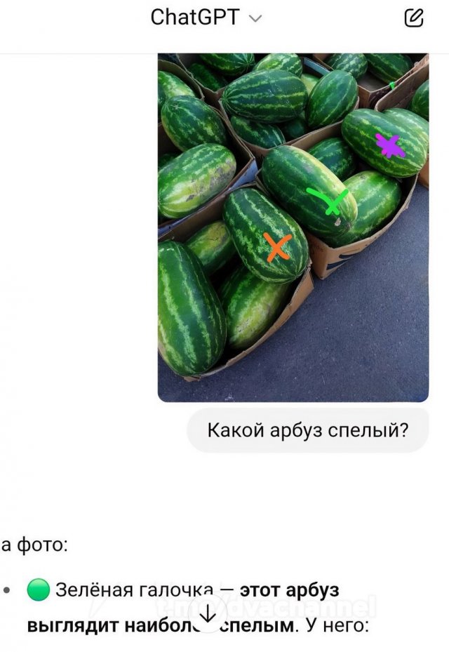 Парень попросил ChatGPT выбрать спелый арбуз и вот, что из этого вышло