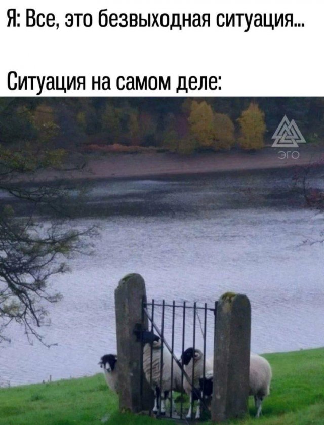 Смешные мемы - 11.08.2025
