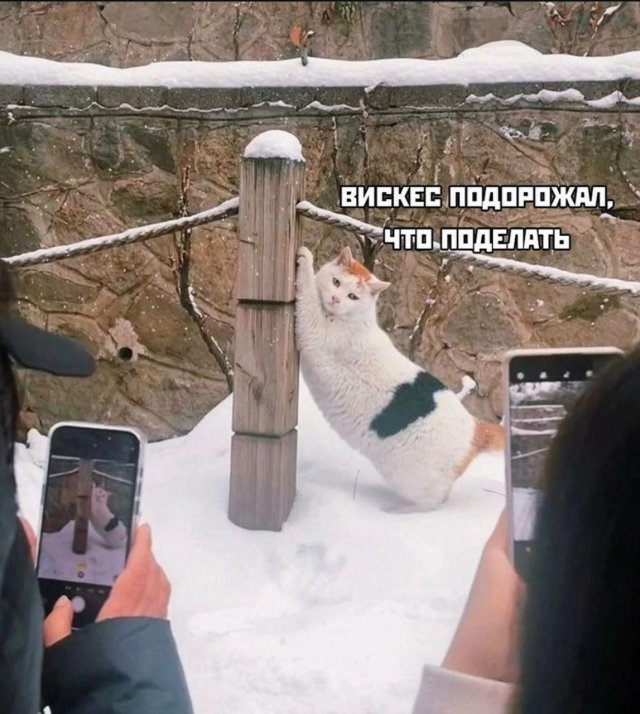 Смешные мемы - 11.08.2025