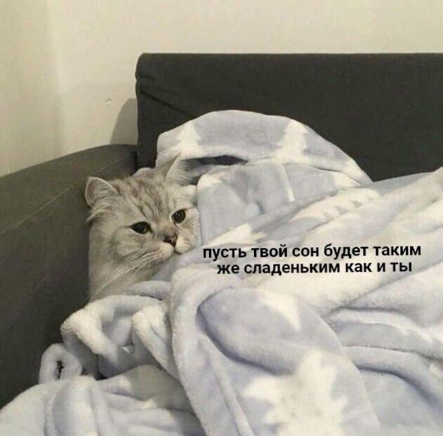 Смешные мемы - 11.08.2025