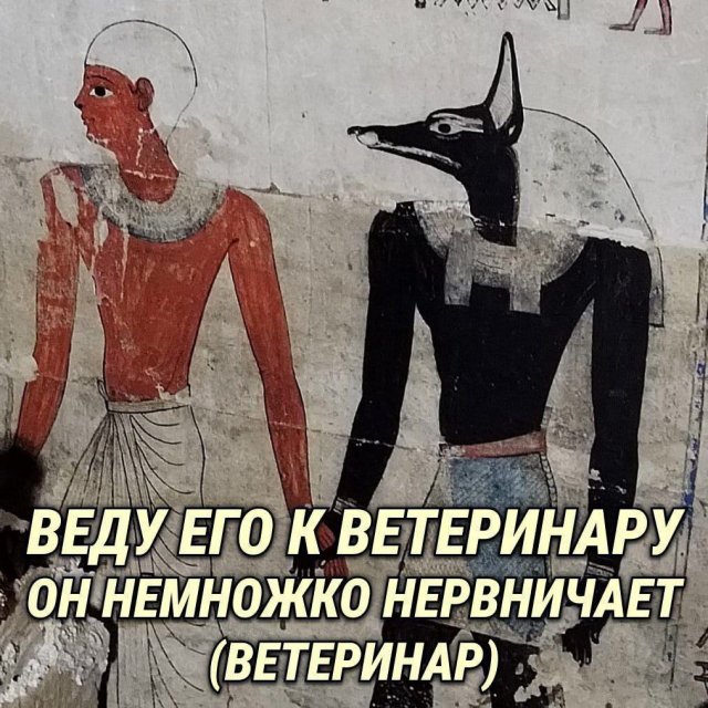 Лучшие шутки и мемы из Сети - 11.08.2025
