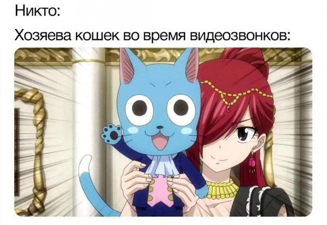 Лучшие шутки и мемы из Сети - 11.08.2025