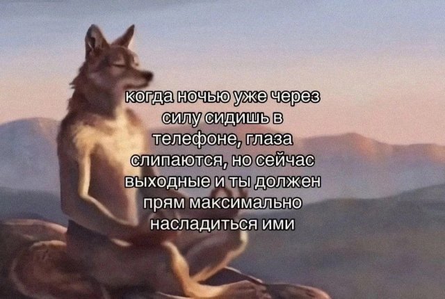 Лучшие шутки и мемы из Сети - 11.08.2025