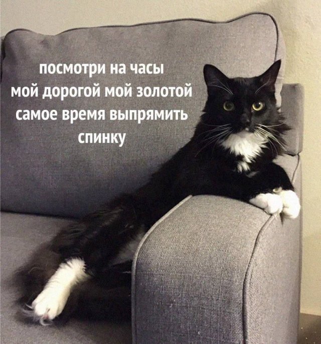 Смешные мемы - 12.08.2025