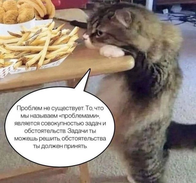 Смешные мемы - 12.08.2025