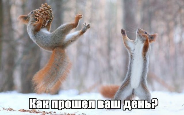 Трынделка - 12.08.2025