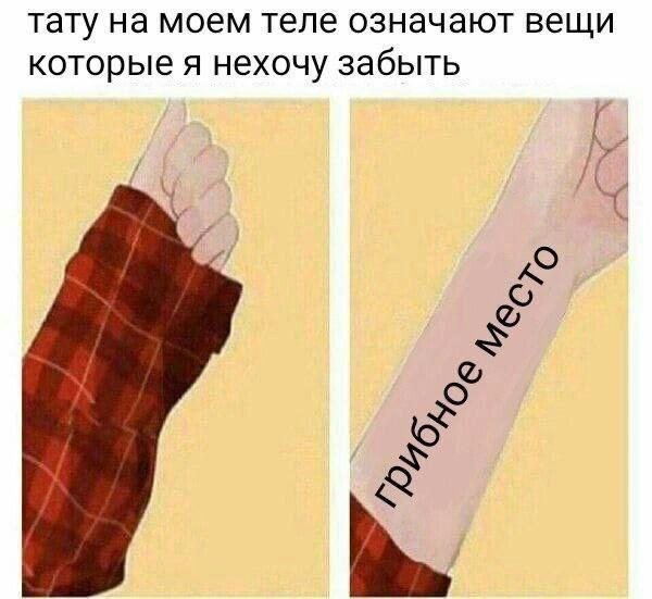 Смешные картинки - 12.08.2025
