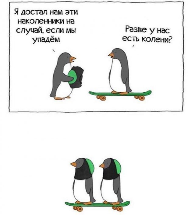 Смешные картинки - 12.08.2025