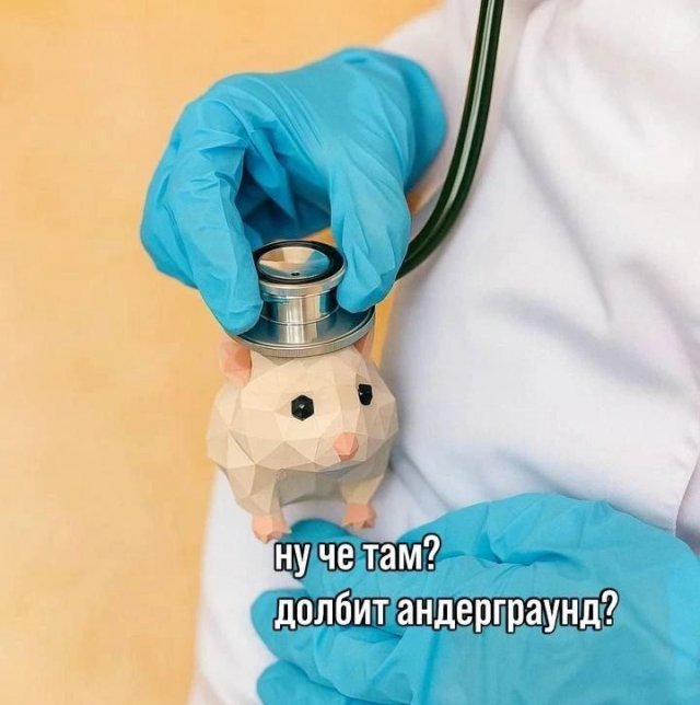 Смешные картинки - 12.08.2025