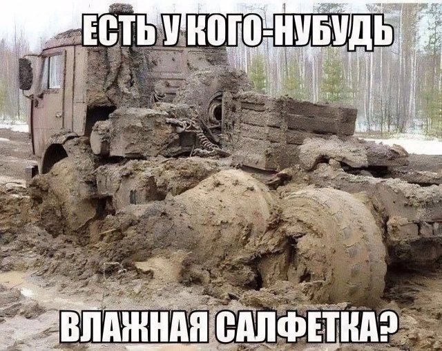 Смешные картинки - 12.08.2025
