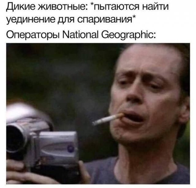 Лучшие шутки и мемы из Сети - 12.08.2025