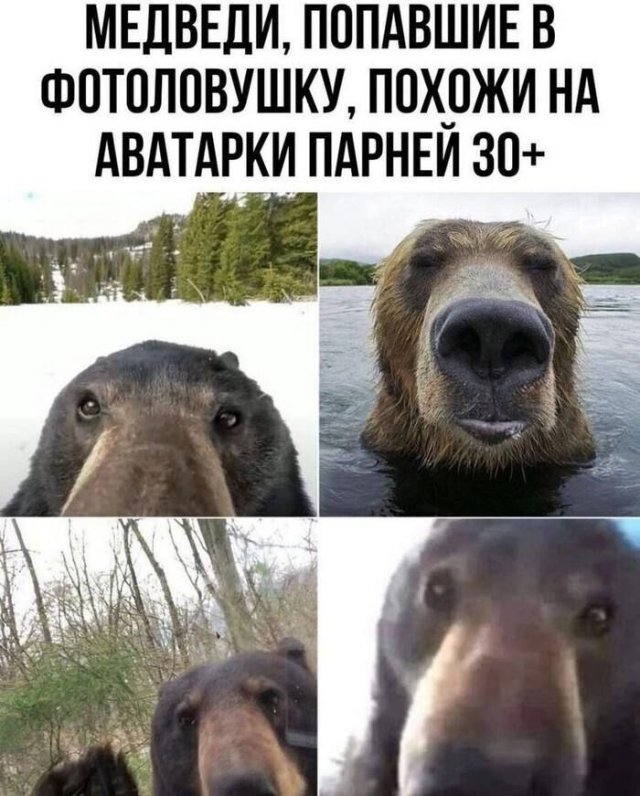 Лучшие шутки и мемы из Сети - 12.08.2025